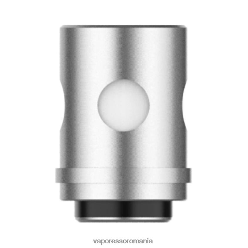 Vaporesso Romania - Vaporesso EUC bobine (5 buc) euc clapton 0.3ohm 60P4R364